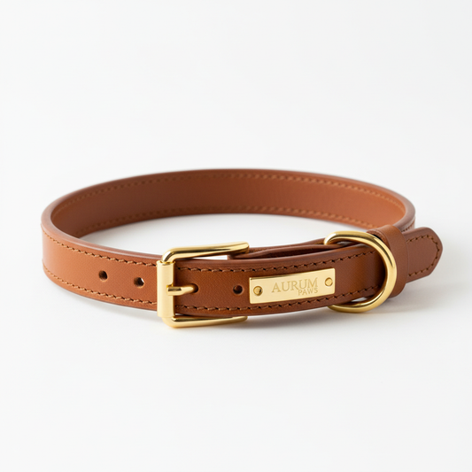 Collier Royal en Cuir Premium