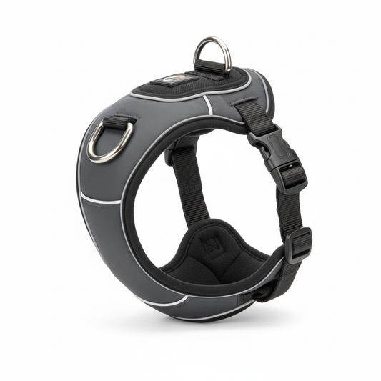 Harnais anti-traction premium pour chien avec attache frontale